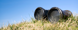Binoculars in a grass field.